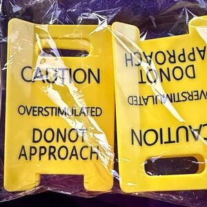 Set of 2   Brand new hair clips! Fun and cheerful. Strong spring clip